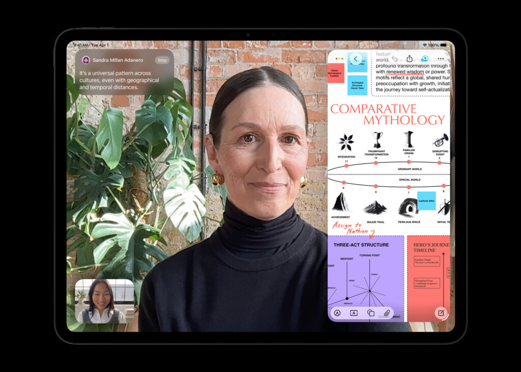 Business meeting screenshot