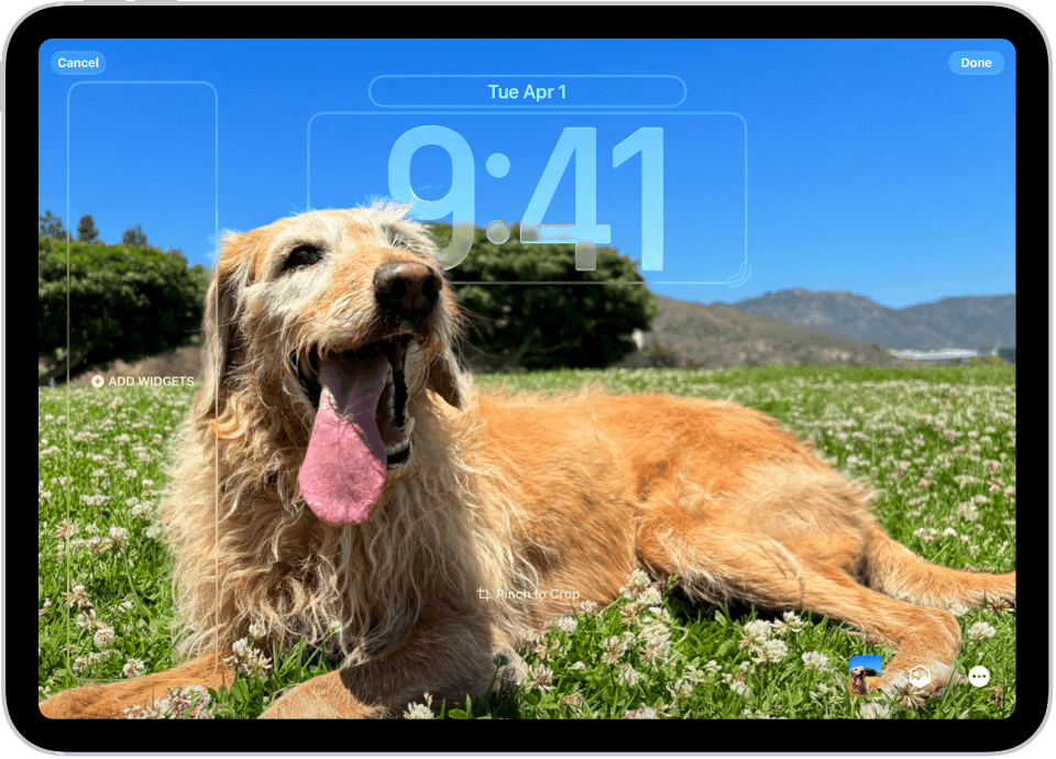 Custom lock screen with widgets on iPadOS 18.7.3