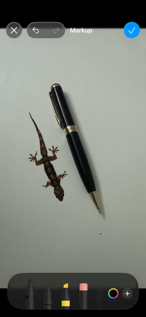 Edited image in iPhone Markup tool showing a pen and a small lizard sticker on a light surface