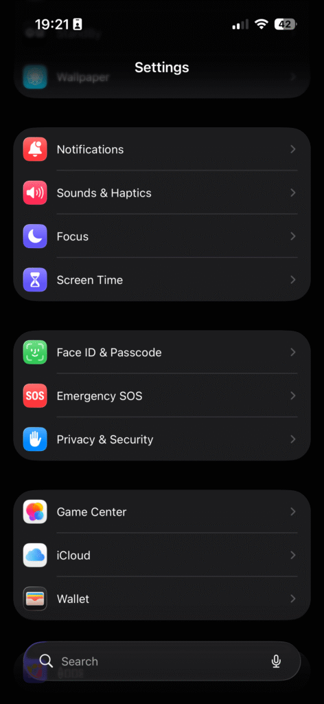 iPhone Settings menu showing Screen Time, Focus, Notifications, and Privacy options