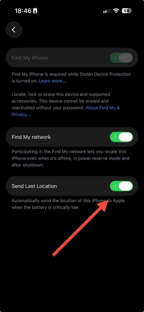 Find My network and Send Last Location enabled on iPhone