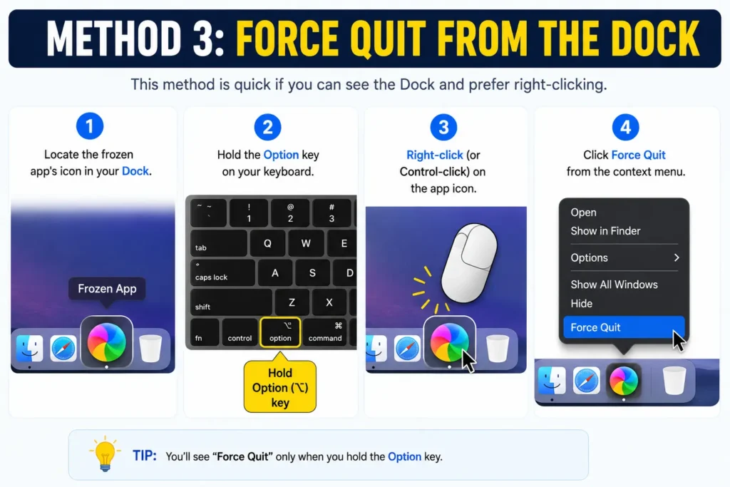 Mac Dock context menu displaying Force Quit option while holding the Option key