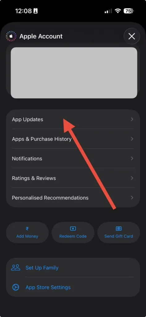 Apple Account screen with App Updates option highlighted in the App Store