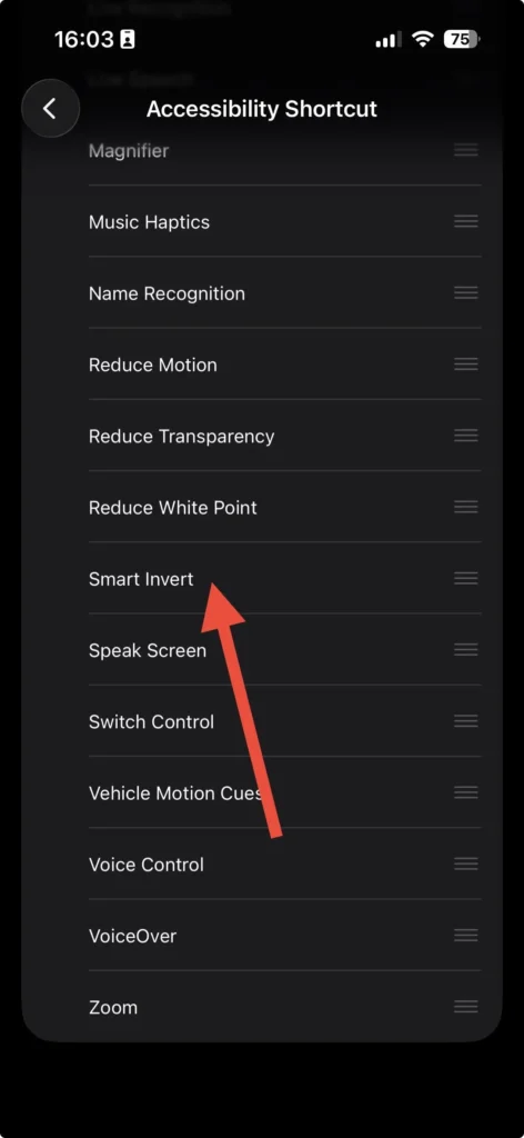 Smart Invert selected in Accessibility Shortcut settings with checkmark visible on iPhone
