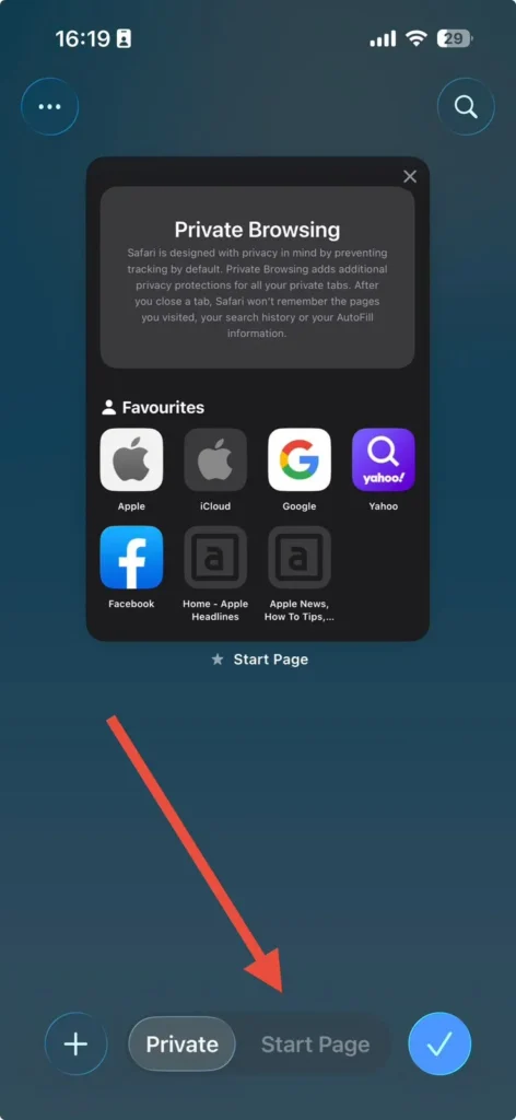 Safari displaying the Private tab highlighted on an iPhone, indicating Private Browsing is currently active.