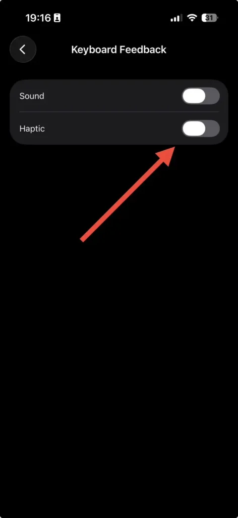 Keyboard Feedback settings with Haptic feedback option available on iPhone.