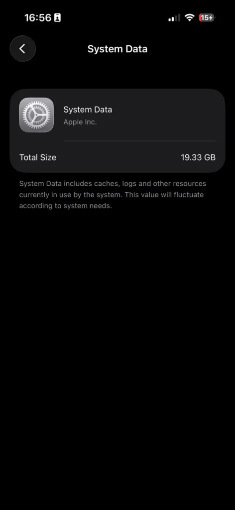 iPhone Settings showing System Data storage size of 19.33GB